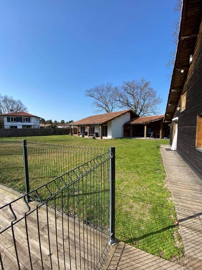 Ensemble De 3 Villas Avec Piscine Chauffee, Esprit Detente Sanguinet Exteriör bild