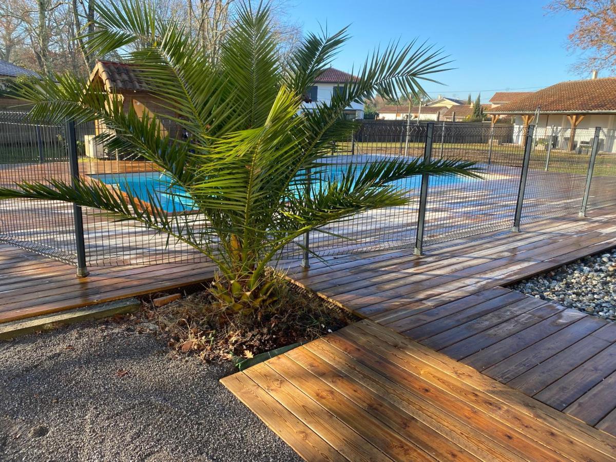 Ensemble De 3 Villas Avec Piscine Chauffee, Esprit Detente Sanguinet Exteriör bild